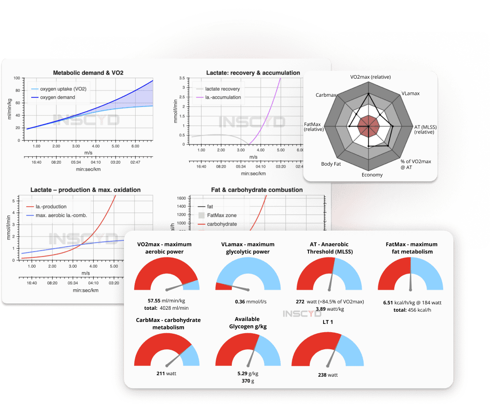 INSCYD report visualization